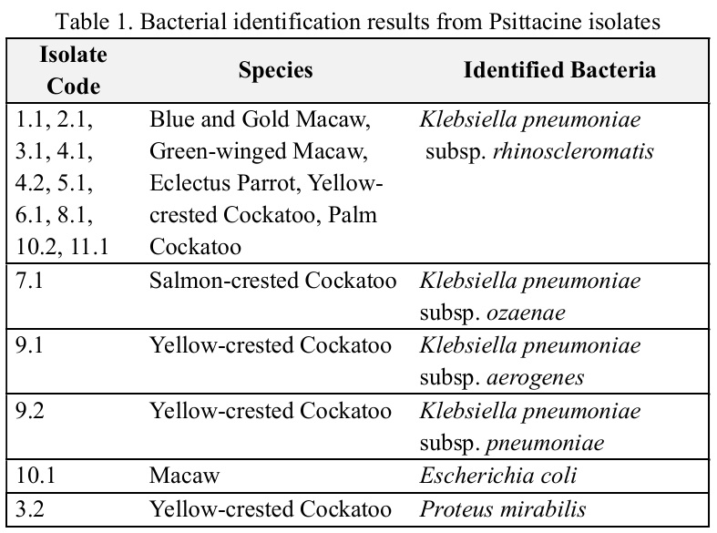 Table 1. Bacterial identification results from Psittacine isolates