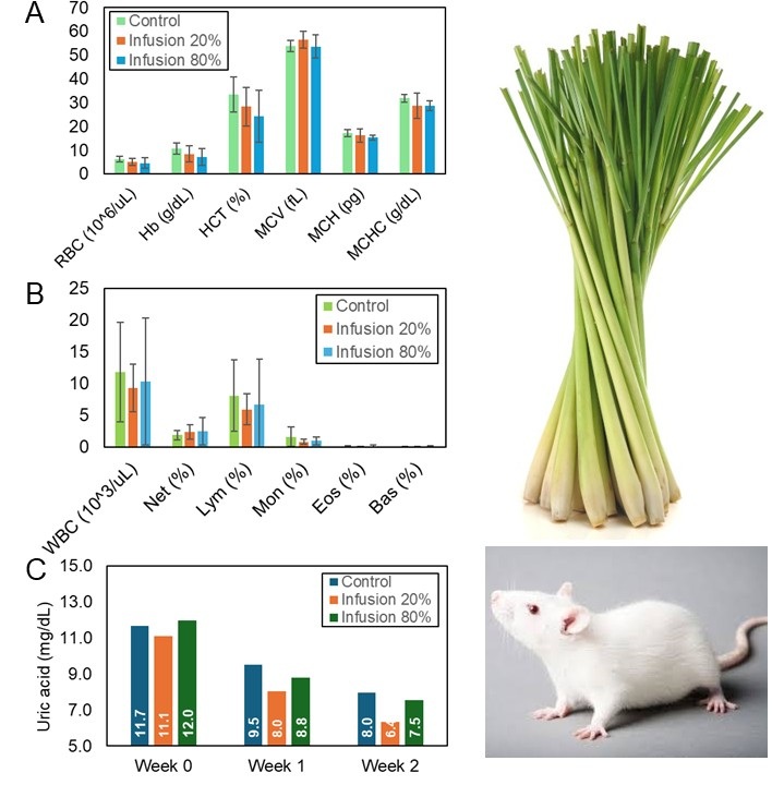 Figure 1. Hematological profile and uric acid of rats after administered lemongrass infusion
