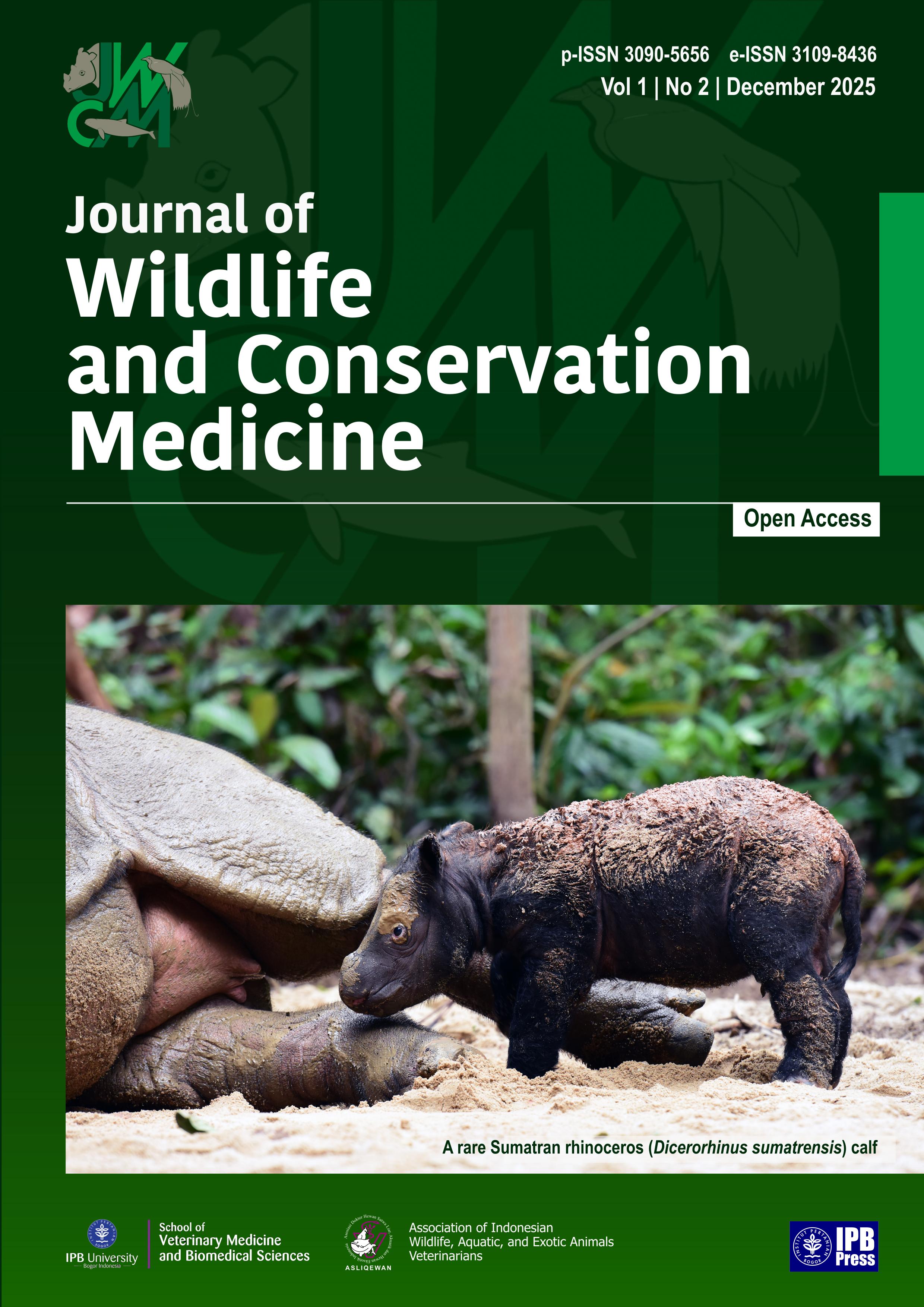 					View Vol. 1 No. 2 (2025): December
				