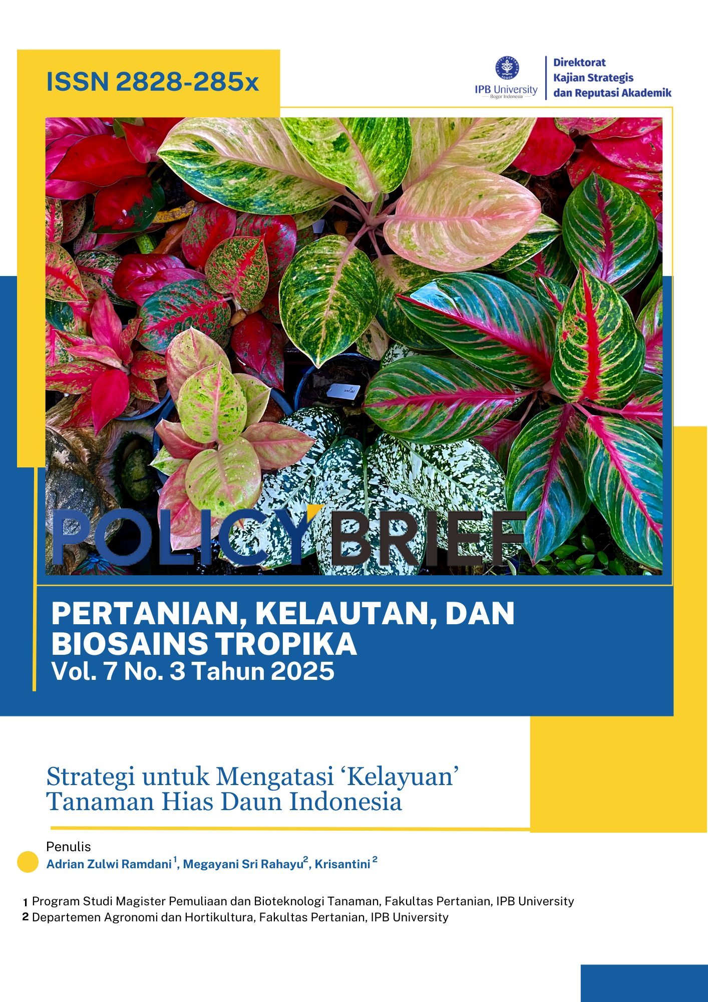 Strategi untuk Mengatasi ‘Kelayuan’ Tanaman Hias Daun Indonesia 