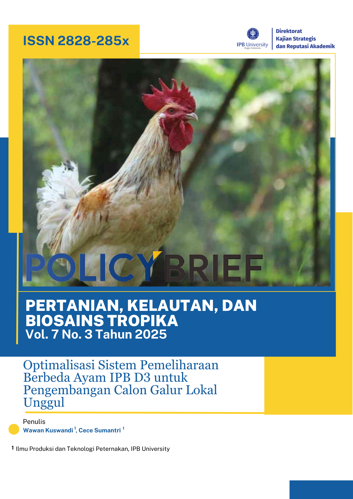Optimalisasi Sistem Pemeliharaan Berbeda Ayam IPB D3 untuk Pengembangan Calon Galur Lokal Unggul