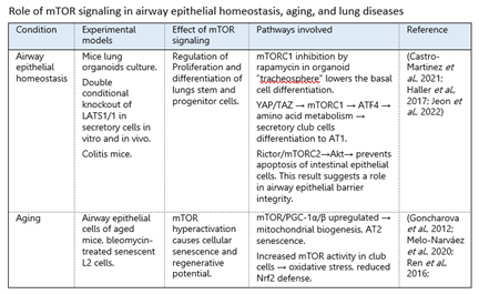 Role of mTOR signaling in airway epithelial homeostasis, aging, and lung diseases