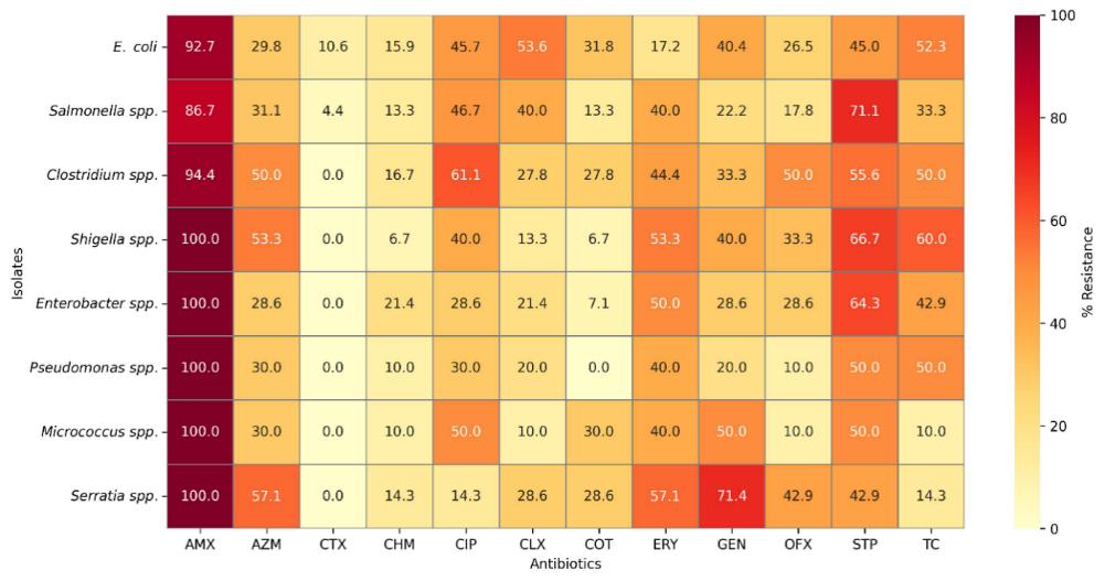 Phenotypic antibiotic resistance patterns of bacterial isolates recovered from poultry ceca