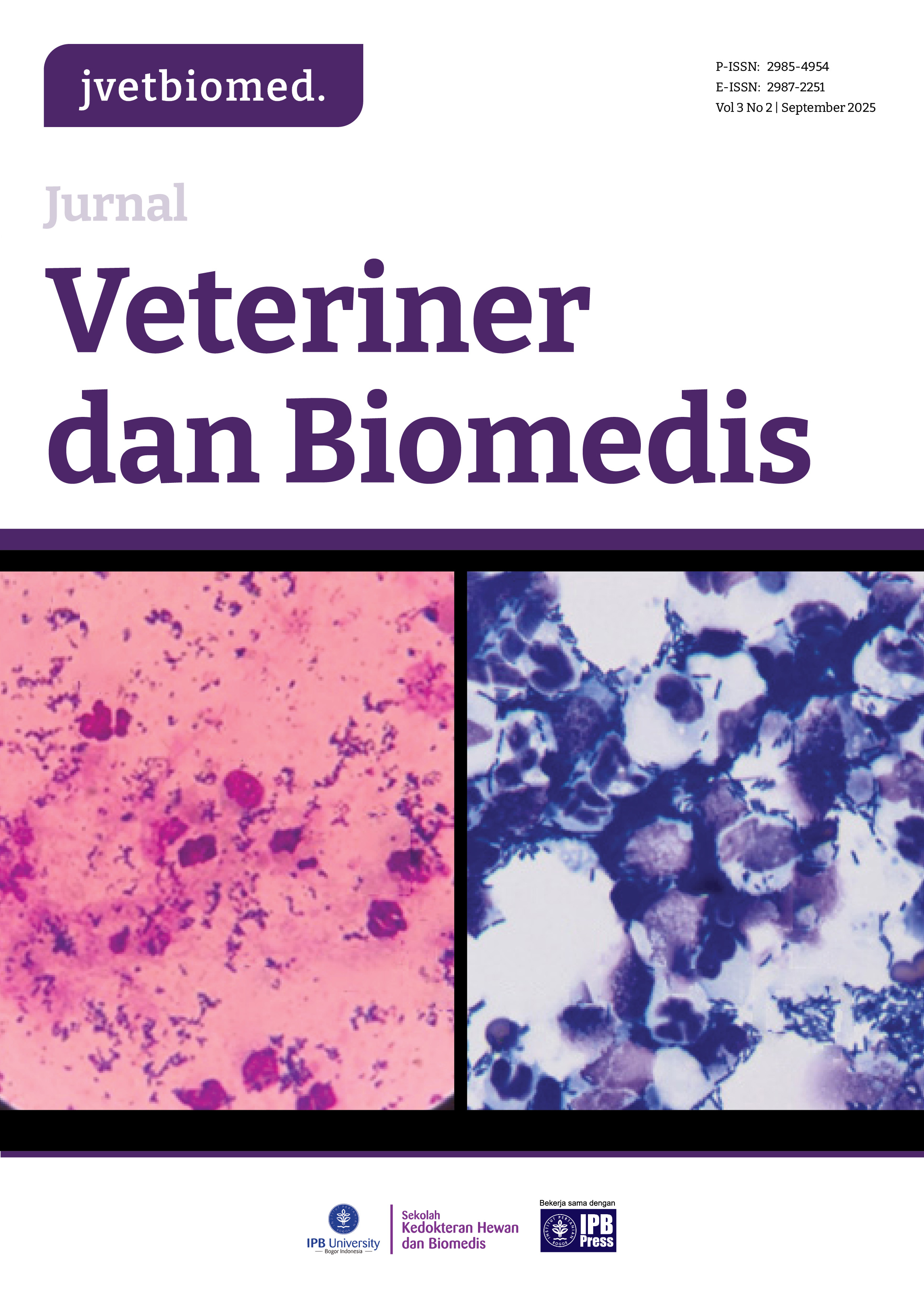 					View Vol. 3 No. 2 (2025): September
				