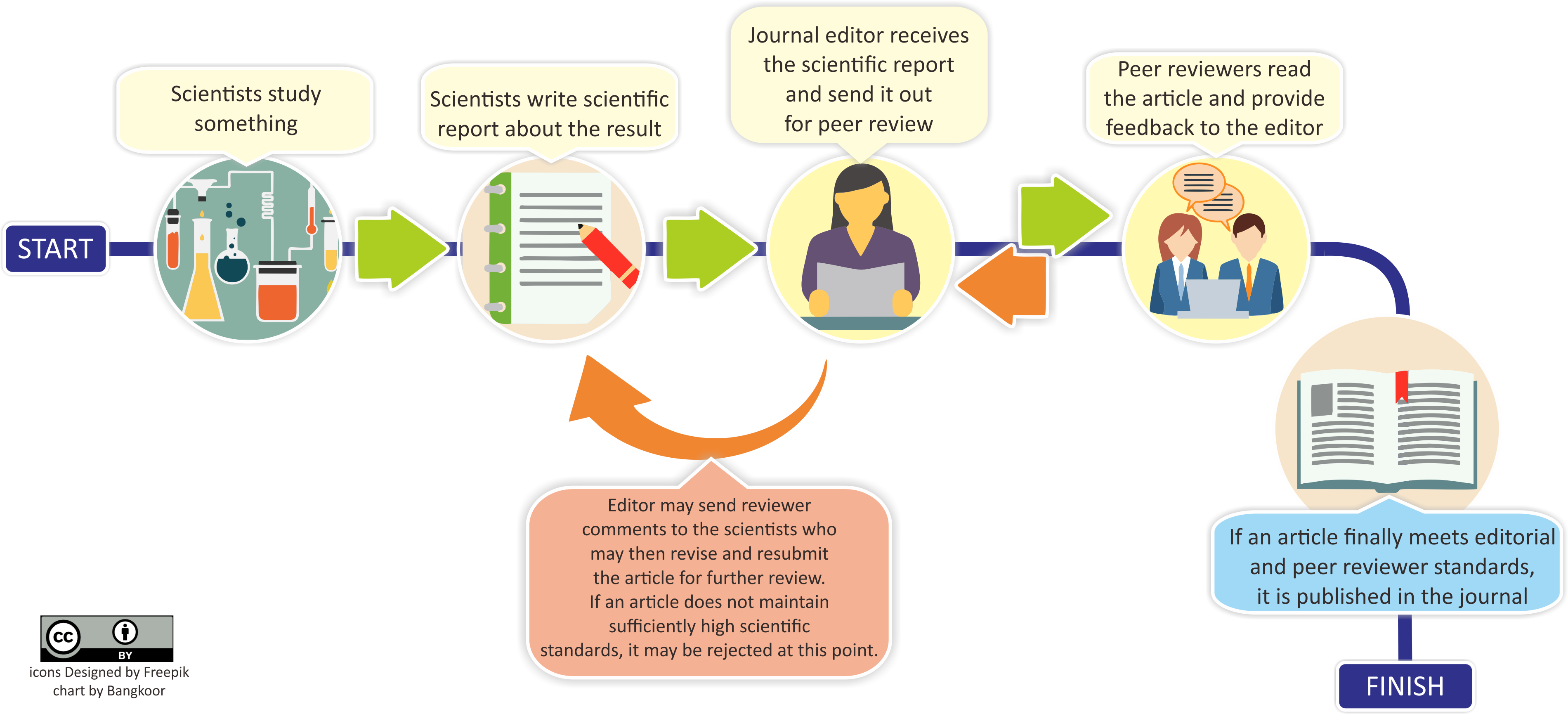 what-is-peer-review-types-examples